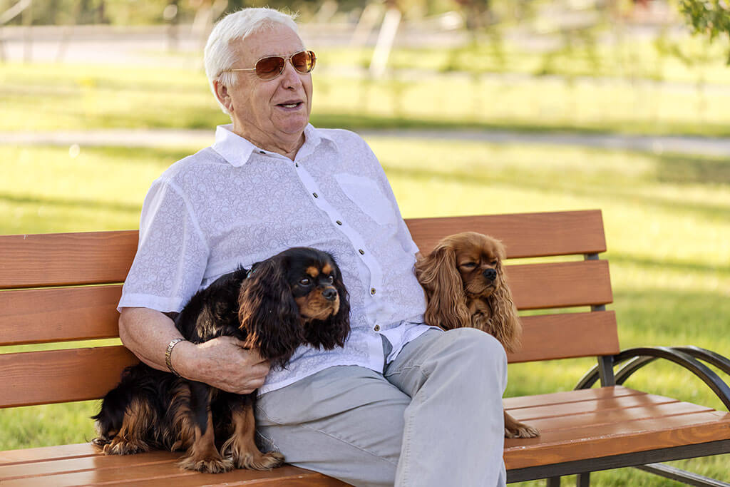 Happy senior man playing with his dogs. Happy senior man playing with his dogs.