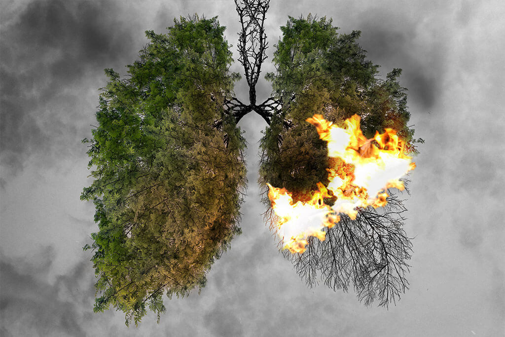 Abstract silhouette of lungs on a smog background