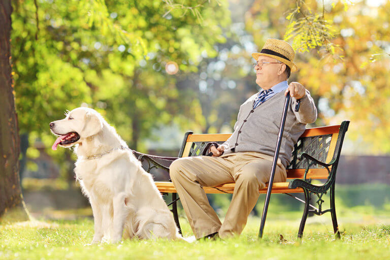 Senior gentleman sitting on bench with his dog and relaxing