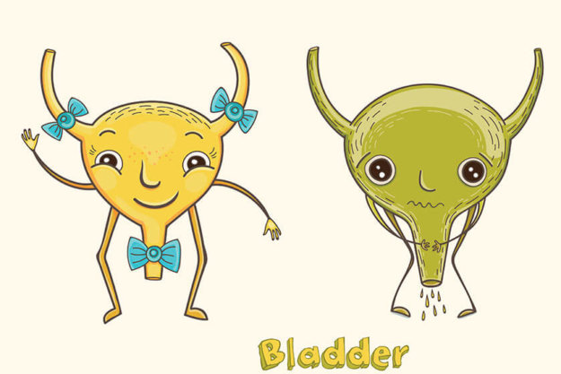 Urinary Incontinence In Seniors: Types, Causes, And Treatments Urinary Incontinence In Seniors: Types, Causes, And Treatments