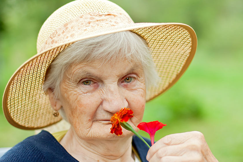 Dementia And Gardening: 6 Safety Tips For Your Loved One