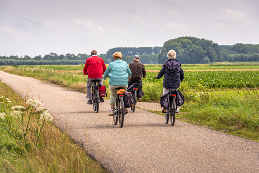 Cycling on a Dutch country road Is Wilmer, AL A Good Place To Live?