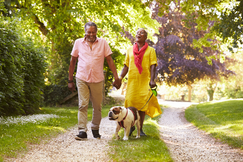pet sitting side hustle for retirees staying active