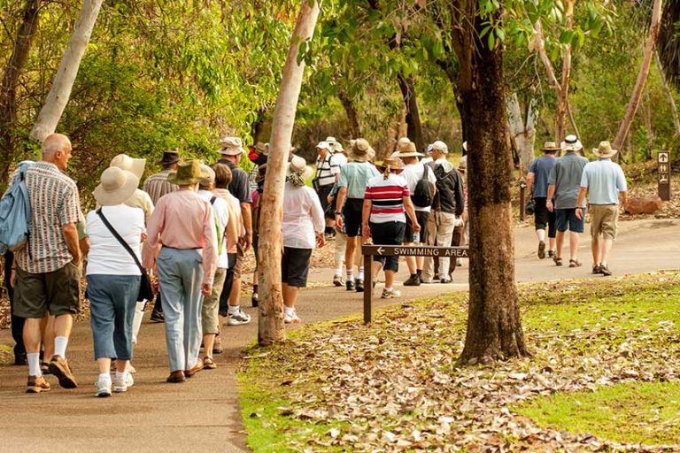group of old and healthy people walking in the nature