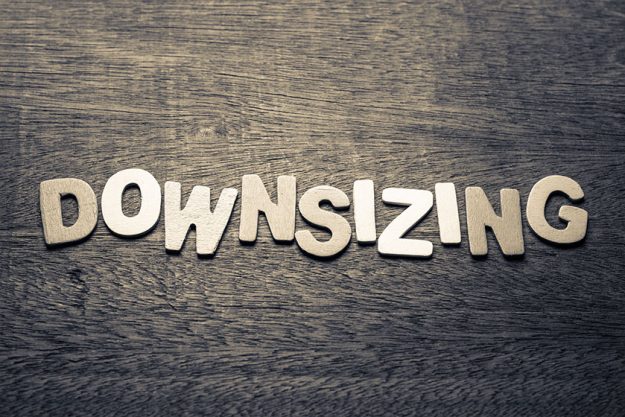 downsizing-text Downsizing