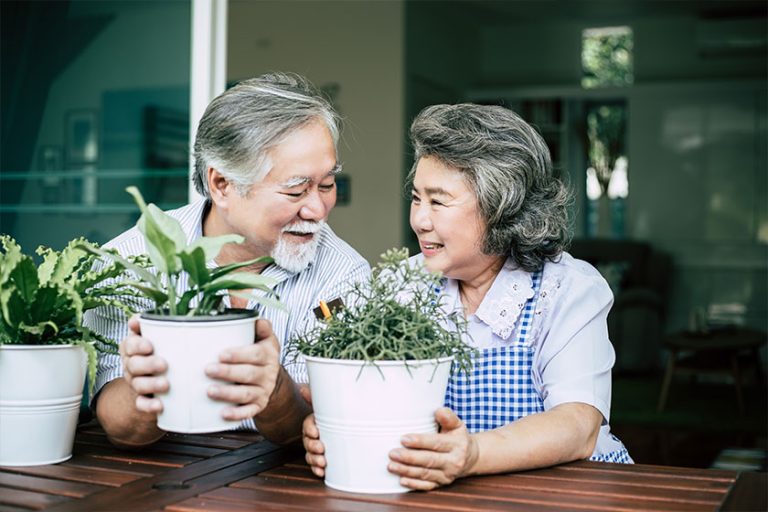 Elderly couples talking together and plant a trees in pots