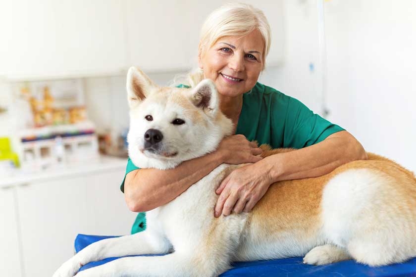 Do Assisted Living In Cullman, AL, Take Care Of Your Pets