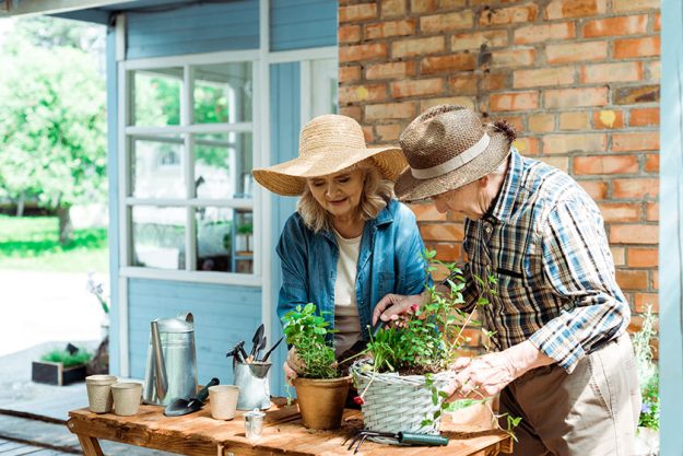 Senior Woman Straw Hat Looking Green Plants Husband