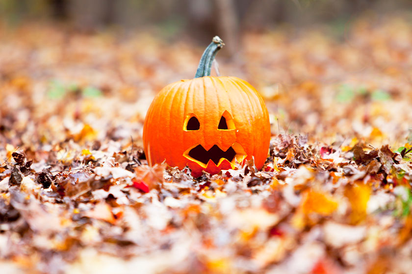 Fall Events You'll Love When Staying In An Independent Living Home In Ridgeland, MS