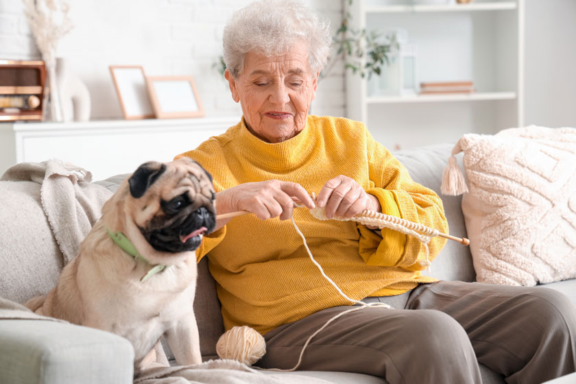 how to provide a positive space for your parents with dementia img how to provide a positive space for your parents with dementia img