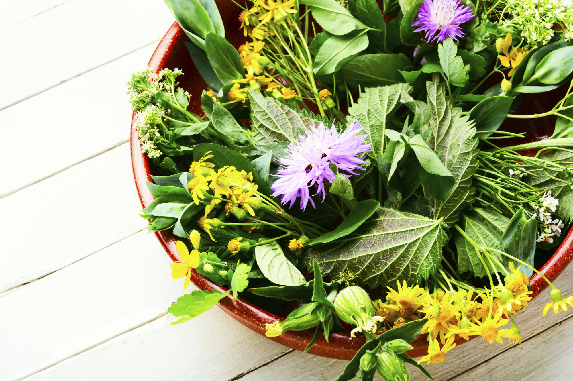 Natural medicine,fresh herbs