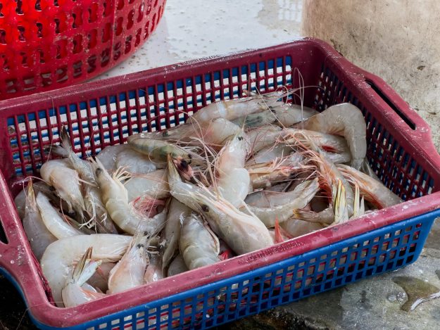 Shrimp in a plastic basket at