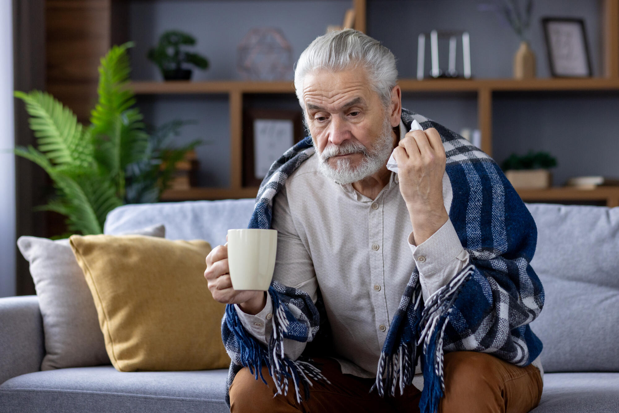 Sad senior gray haired man sitting on sofa at home and suffering from illness. Covered with a blanket, holding a cup of hot drink and a napkin Sad senior gray haired man sitting on sofa at home and suffering from illness. Covered with a blanket, holding a cup of hot drink and a napkin