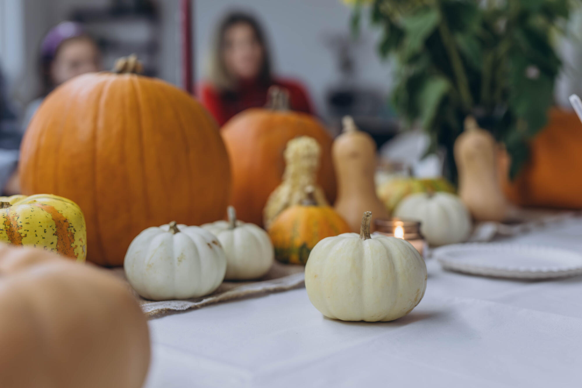 Children and adults painting pumpkins for Halloween, enjoying a fun and creative activity together. Children and adults painting pumpkins for Halloween, enjoying a fun and creative activity together.