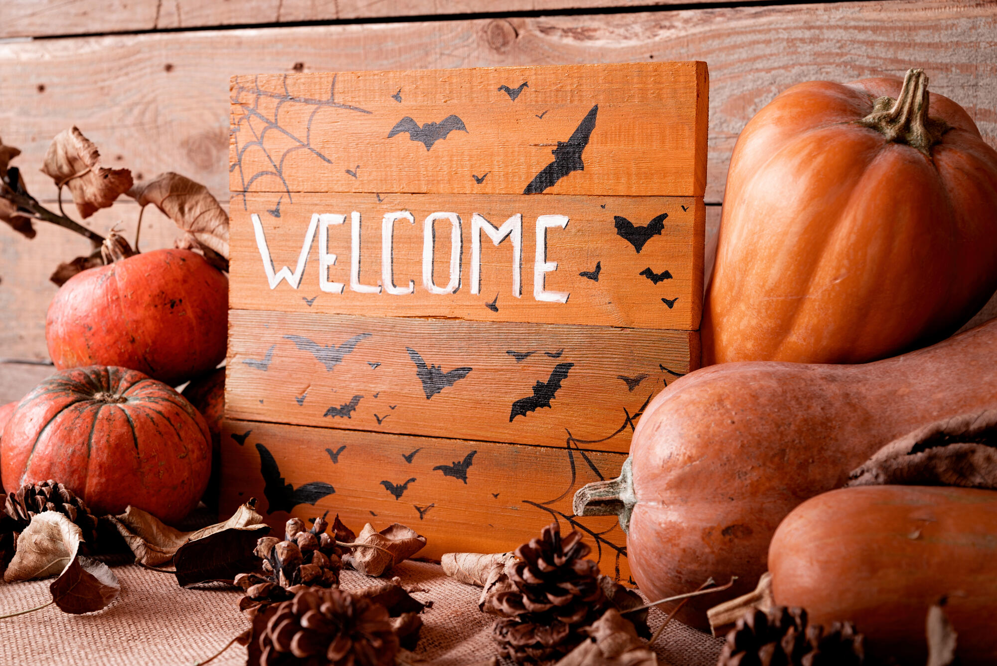 Welcome wooden sign with pile of pumpkins and pine cones Welcome wooden sign with pile of pumpkins and pine cones