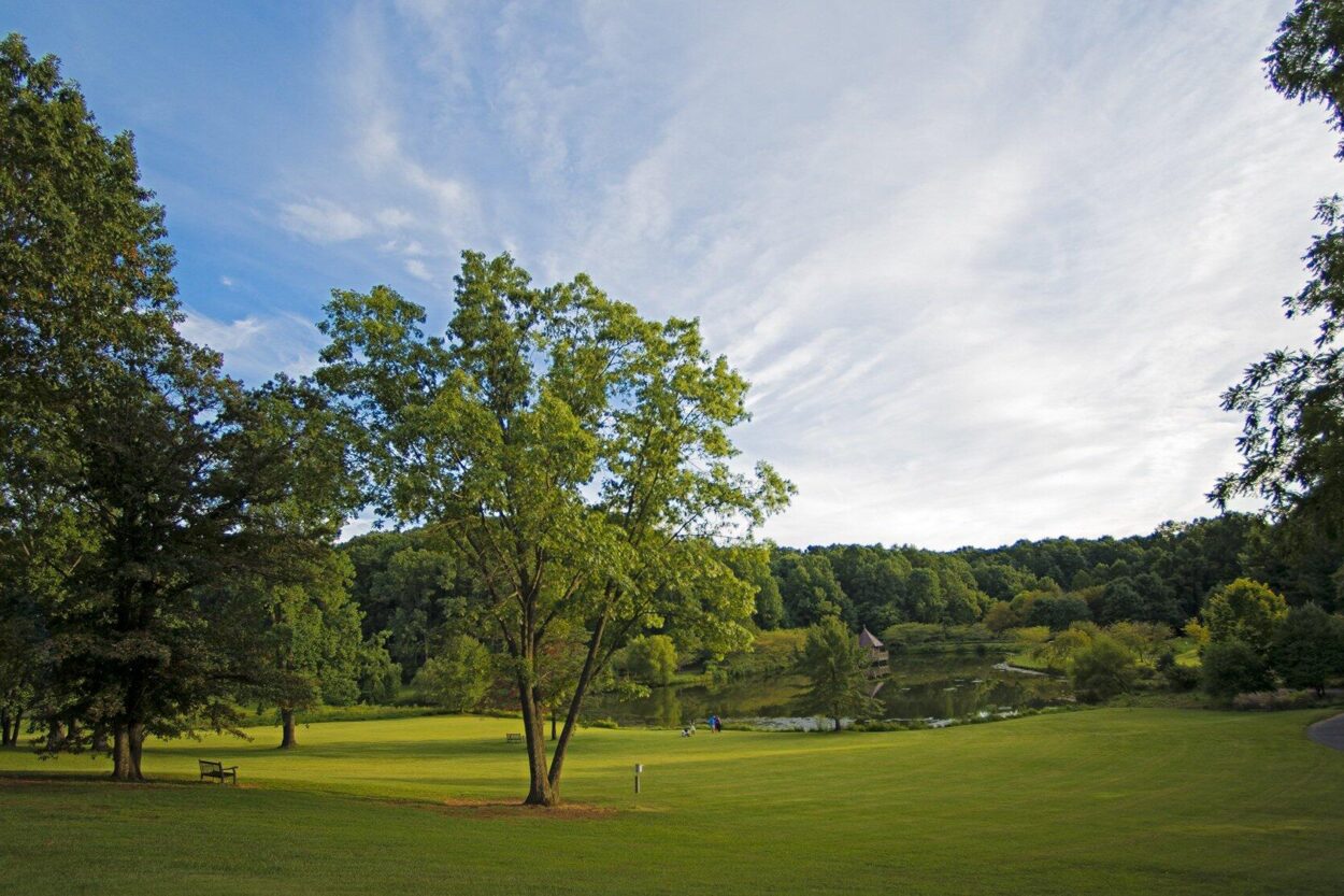 summer virginia northern virgi